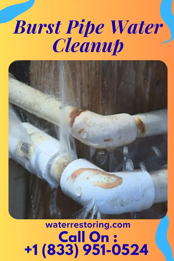 Burst Pipe Water Cleanup in Cutler Bay, FL